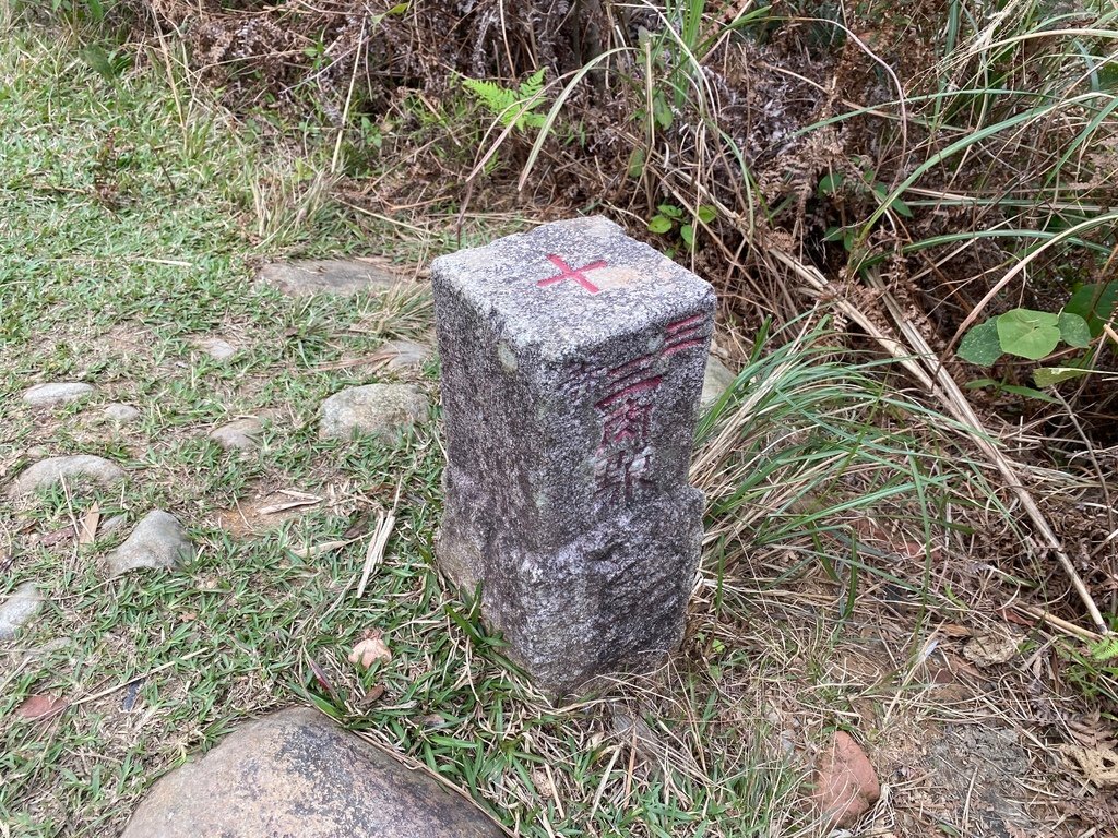 新店登山步道-和美山登山步道，遠看碧潭風景，賞螢火蟲的好地方