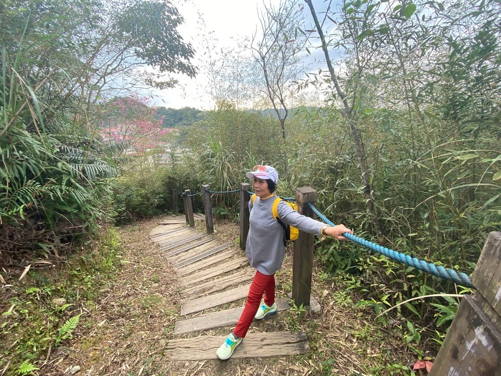 新店登山步道-和美山登山步道，遠看碧潭風景，賞螢火蟲的好地方