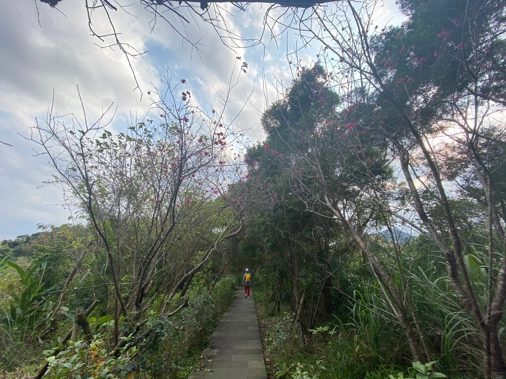 新店登山步道-和美山登山步道，遠看碧潭風景，賞螢火蟲的好地方