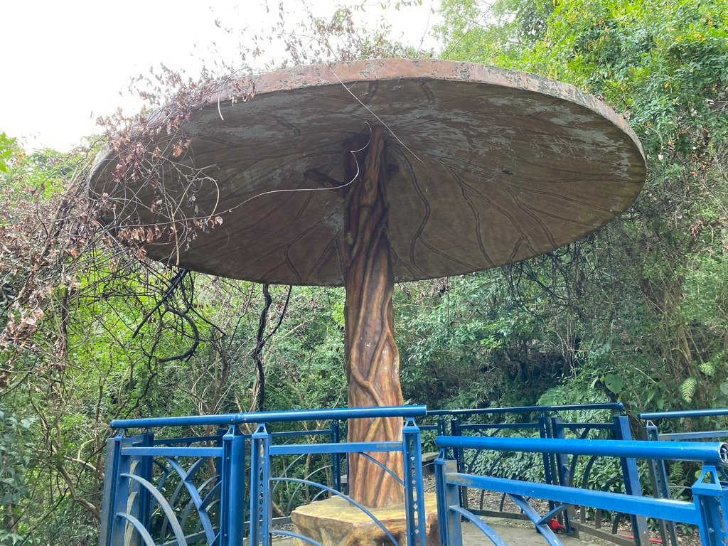 新店登山步道-和美山登山步道，遠看碧潭風景，賞螢火蟲的好地方