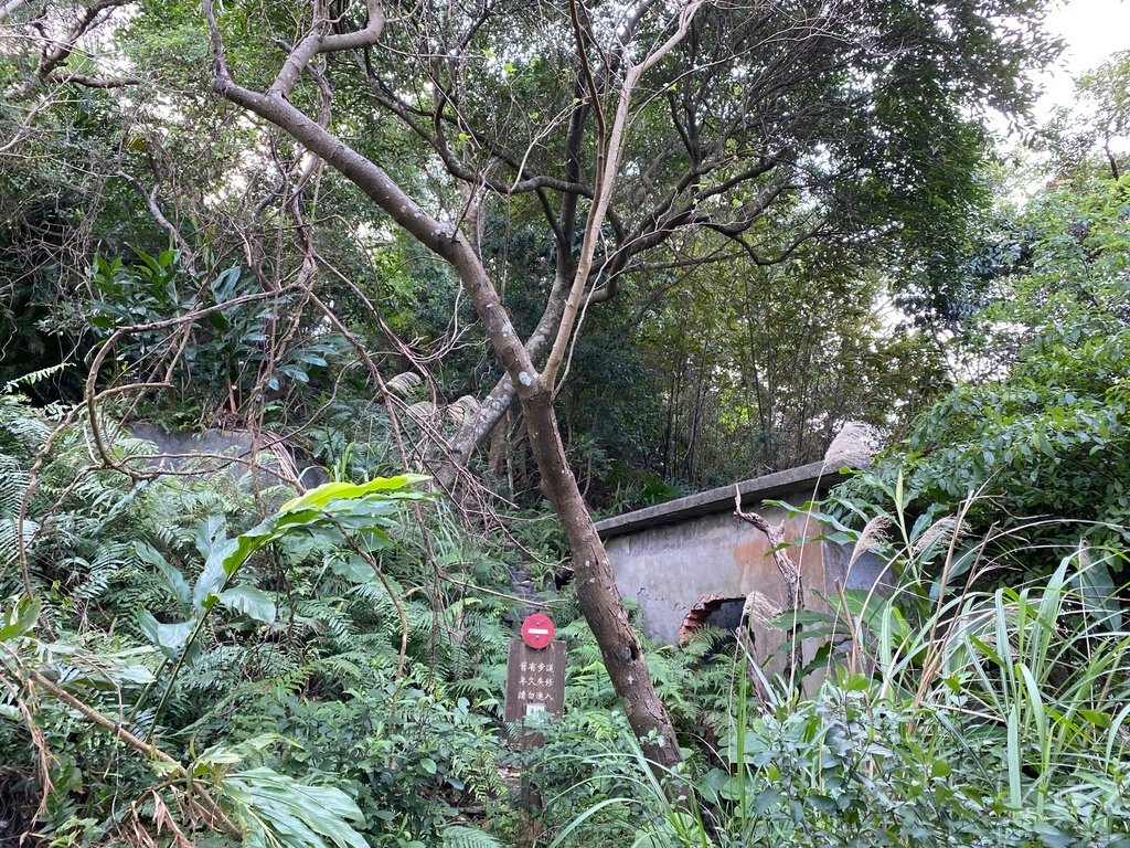 新店登山步道-和美山登山步道，遠看碧潭風景，賞螢火蟲的好地方