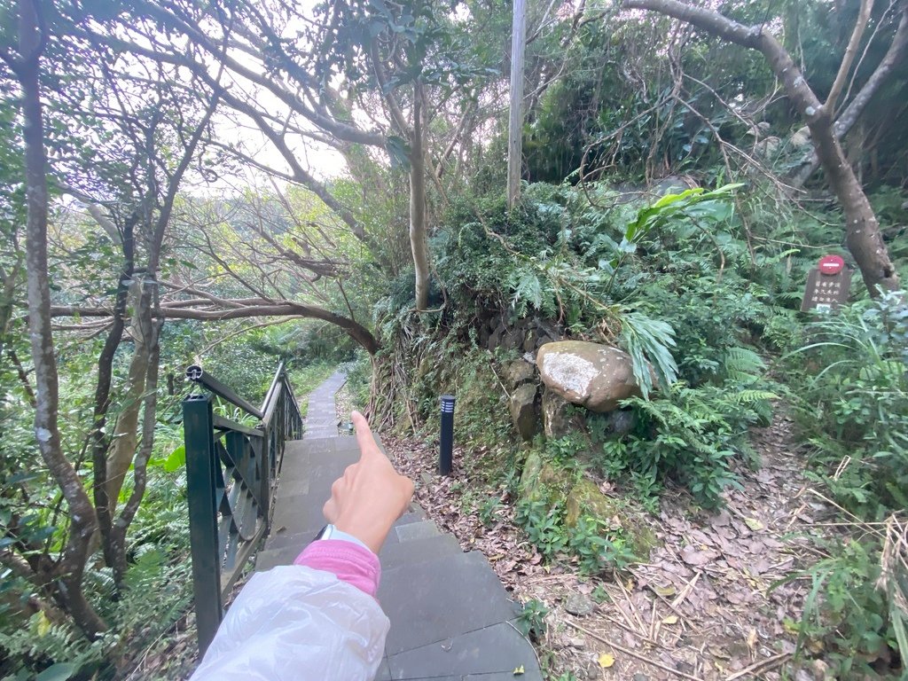 新店登山步道-和美山登山步道，遠看碧潭風景，賞螢火蟲的好地方