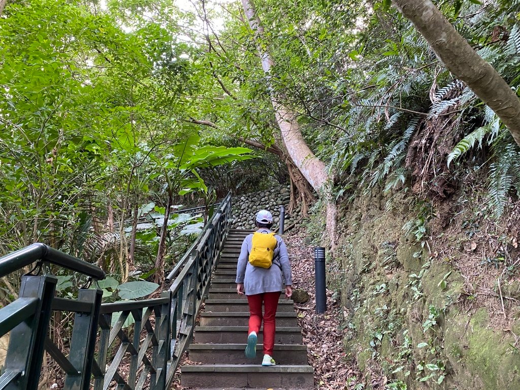 新店登山步道-和美山登山步道，遠看碧潭風景，賞螢火蟲的好地方