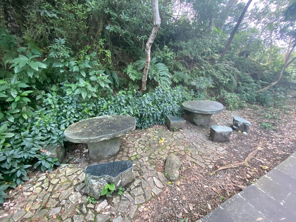 新店登山步道-和美山登山步道，遠看碧潭風景，賞螢火蟲的好地方