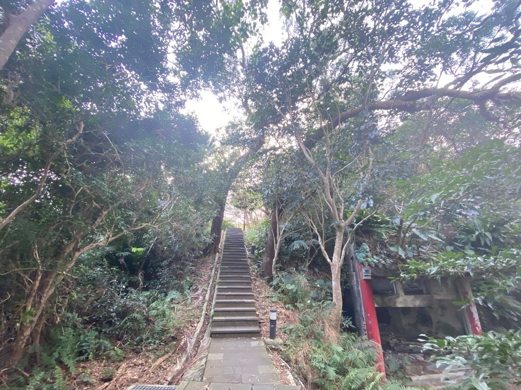 新店登山步道-和美山登山步道，遠看碧潭風景，賞螢火蟲的好地方