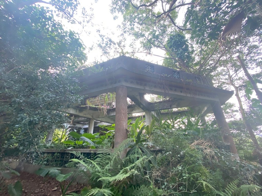 新店登山步道-和美山登山步道，遠看碧潭風景，賞螢火蟲的好地方