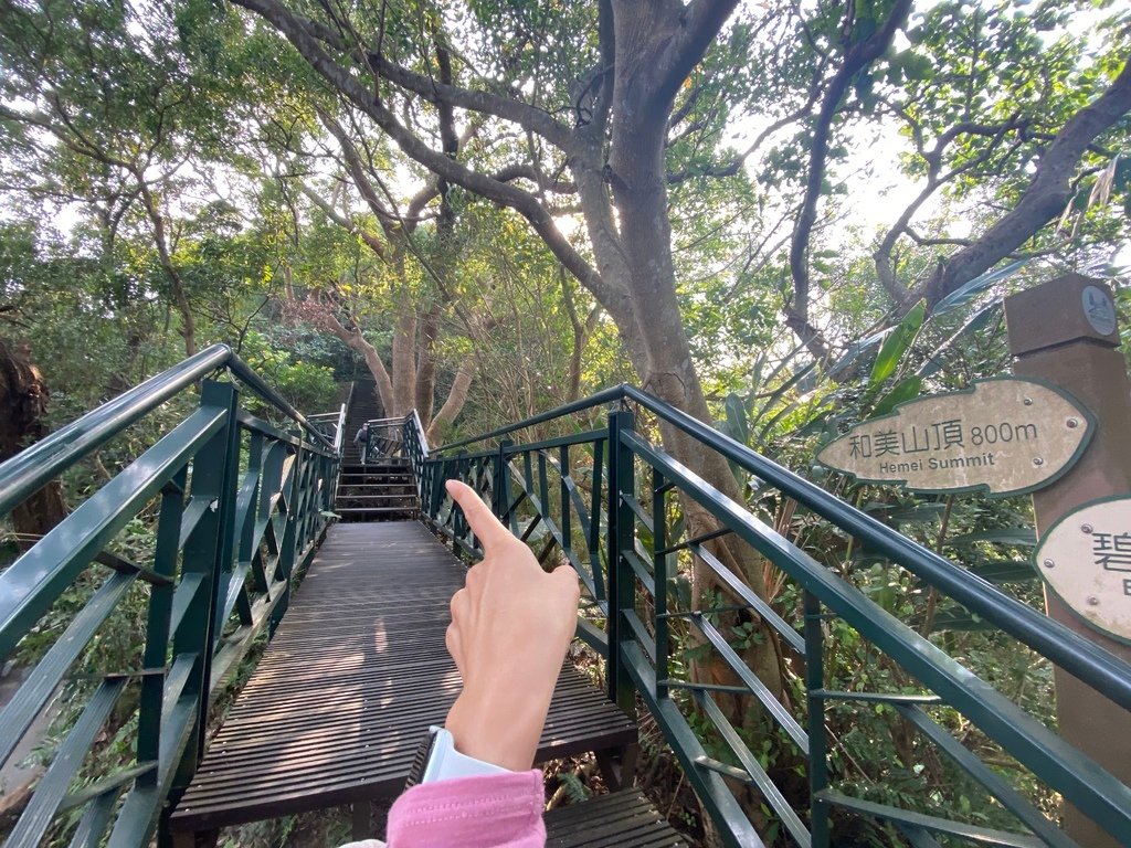 新店登山步道-和美山登山步道，遠看碧潭風景，賞螢火蟲的好地方