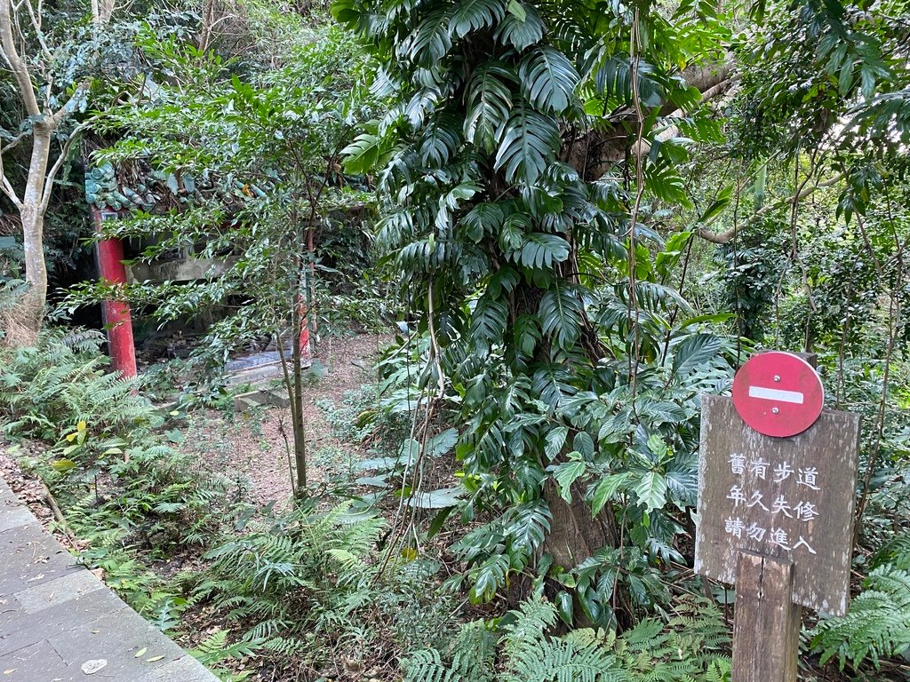 新店登山步道-和美山登山步道，遠看碧潭風景，賞螢火蟲的好地方