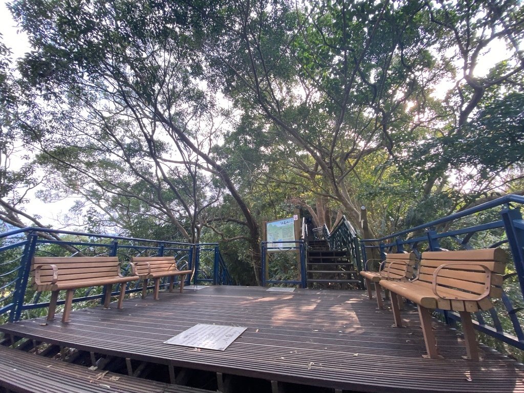 新店登山步道-和美山登山步道，遠看碧潭風景，賞螢火蟲的好地方