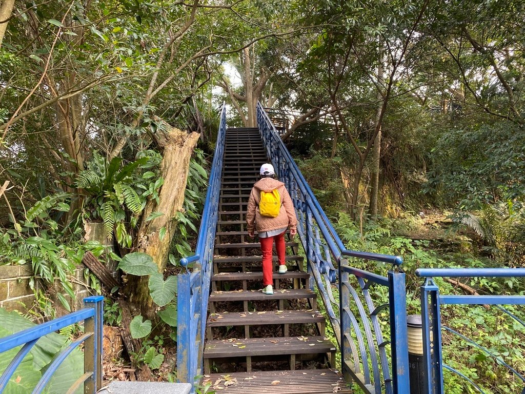 新店登山步道-和美山登山步道，遠看碧潭風景，賞螢火蟲的好地方