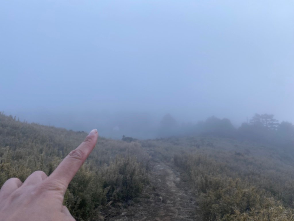 台灣百岳山屋介紹-武陵四秀的新達山屋