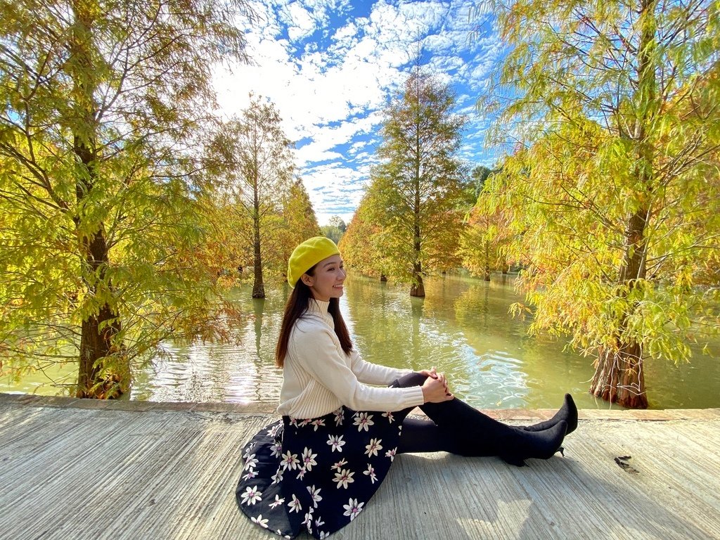 苗栗三灣景點-苗栗三灣落羽松莊園，又美又夢幻的落羽松秘境