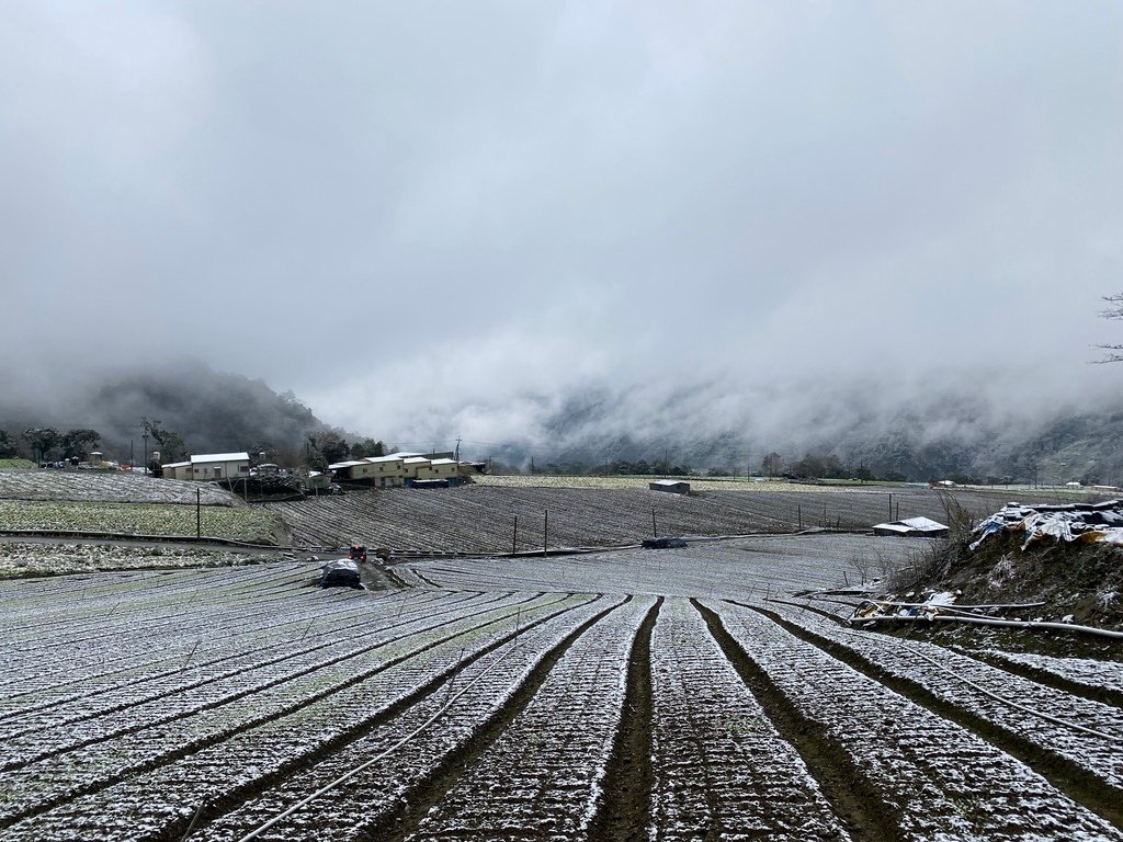 宜蘭大同鄉景點-來台7甲線思源埡口，欣賞被雪包覆的銀白森林