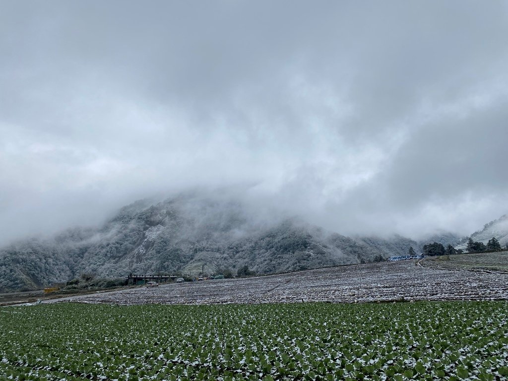 宜蘭大同鄉景點-來台7甲線思源埡口，欣賞被雪包覆的銀白森林