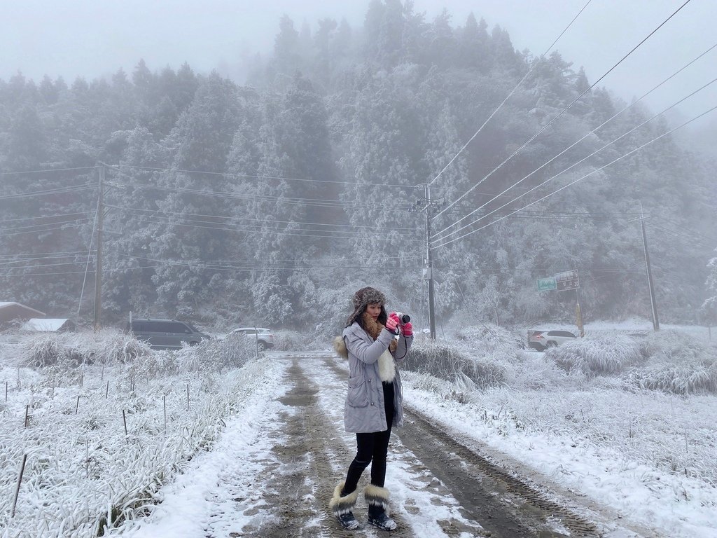 宜蘭大同鄉景點-來台7甲線思源埡口，欣賞被雪包覆的銀白森林