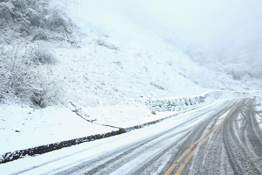 宜蘭大同鄉景點-來台7甲線思源埡口，欣賞被雪包覆的銀白森林