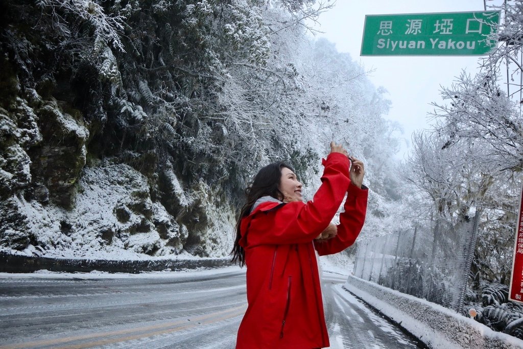 宜蘭大同鄉景點-來台7甲線思源埡口，欣賞被雪包覆的銀白森林