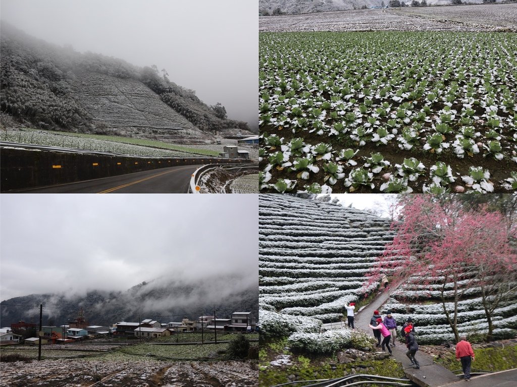 宜蘭大同鄉景點-來台7甲線思源埡口，欣賞被雪包覆的銀白森林