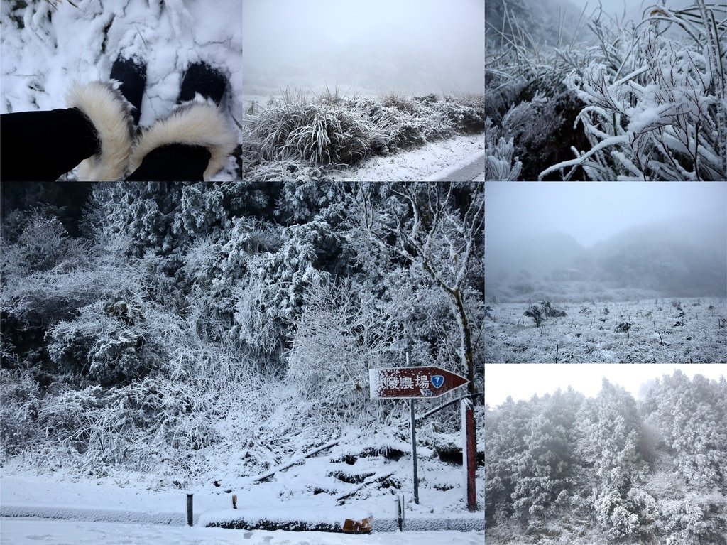 宜蘭大同鄉景點-來台7甲線思源埡口，欣賞被雪包覆的銀白森林