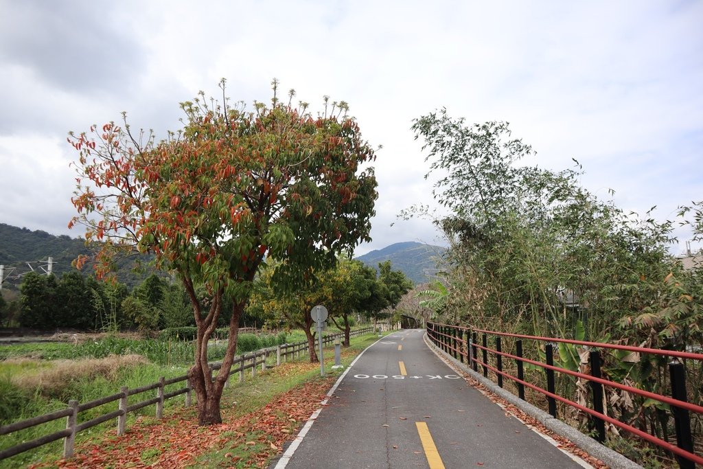 花蓮玉里景點-玉富自行車道，橫跨兩個板塊的自行車道！來趟輕鬆的玉里鐵馬行