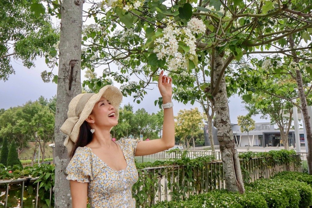 苗栗銅鑼景點-到好客公園欣賞油桐花！來趟白色浪漫的苗栗一日遊