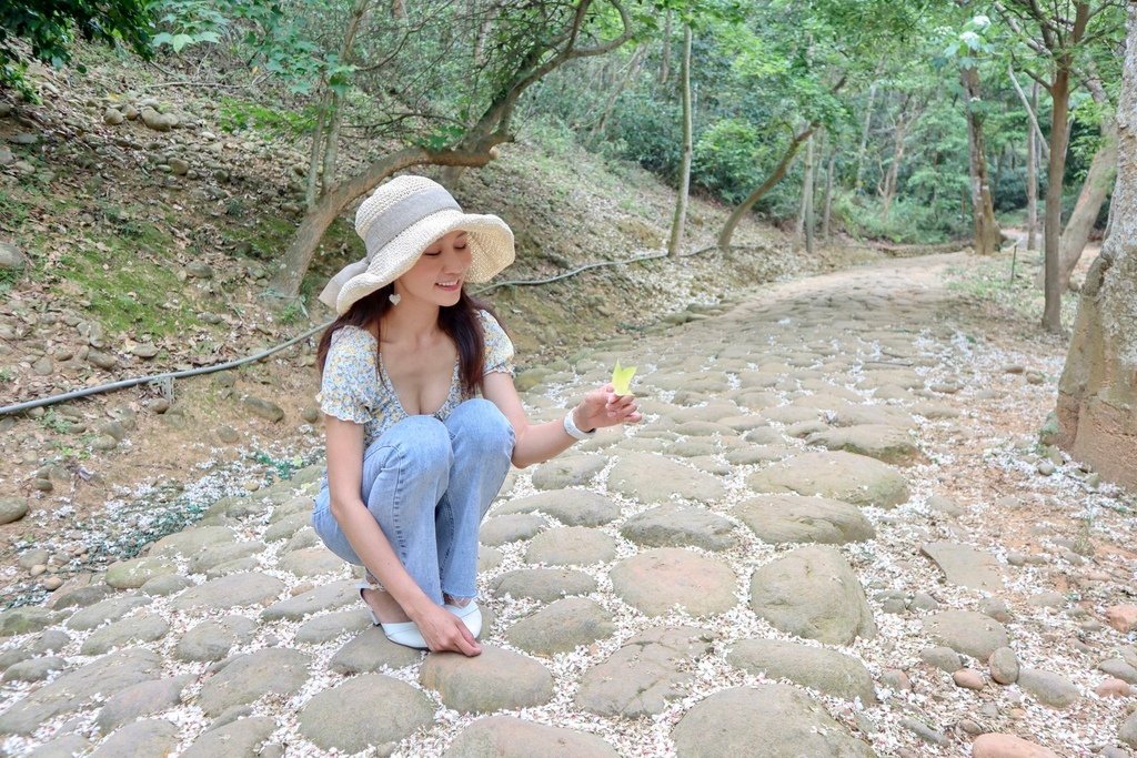 苗栗銅鑼景點-到好客公園欣賞油桐花！來趟白色浪漫的苗栗一日遊