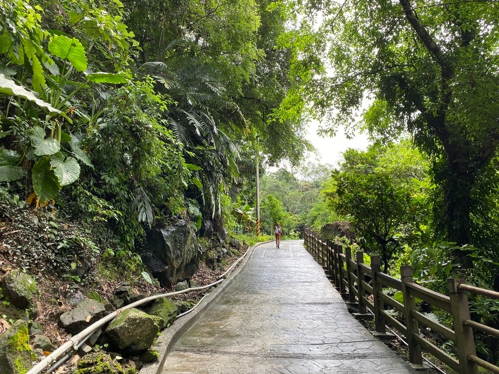 南投竹山景點-跟著丁小羽一起去瑞龍瀑布，走訪的瑞龍吊橋、桂竹林棧道