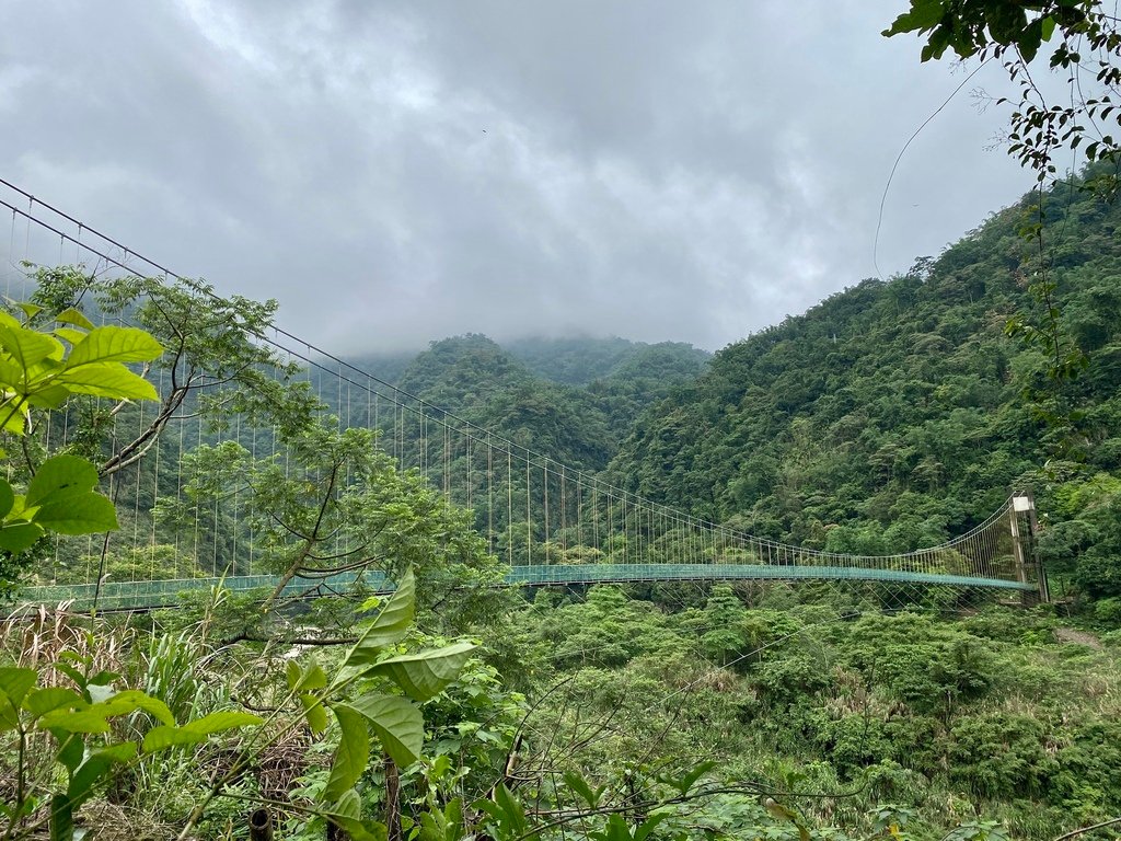 南投竹山景點-跟著丁小羽一起去瑞龍瀑布，走訪的瑞龍吊橋、桂竹林棧道