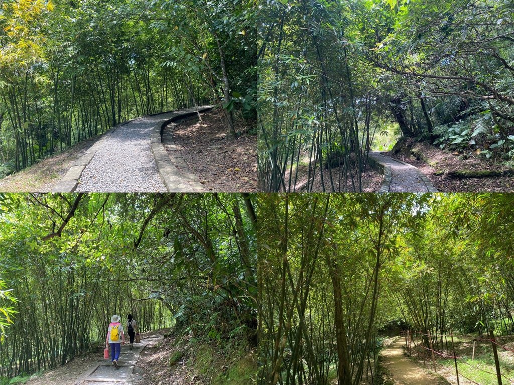 新北瑞芳登山步道-跟著丁小羽去三貂嶺步道，欣賞合谷瀑布、摩天瀑布、枇杷洞瀑布