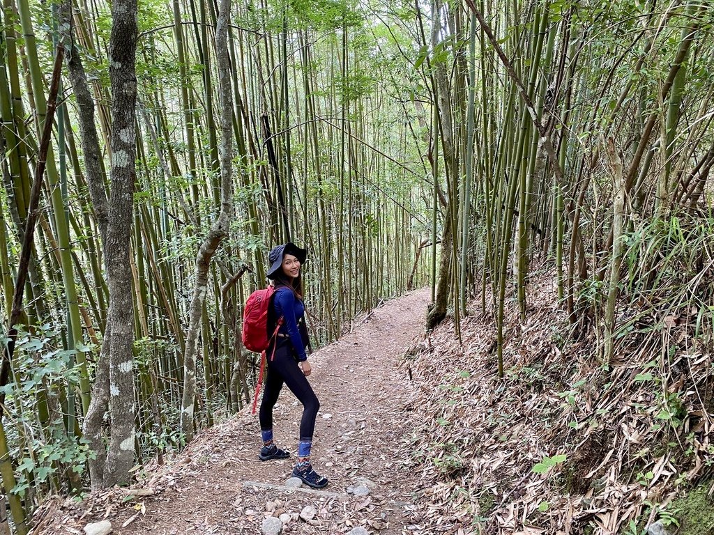 桃園復興瀑布景點-出發拉拉山秘境！走訪鐵力庫部落，欣賞幽靈瀑布