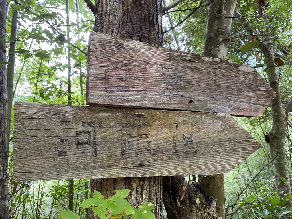 桃園復興瀑布景點-出發拉拉山秘境！走訪鐵力庫部落，欣賞幽靈瀑布