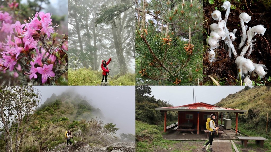 跟著丁小羽出發台灣百岳「南橫三星」的庫哈諾辛山