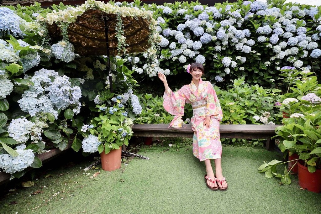 跟著丁小羽去陽明山竹子湖賞繡球花！出發曹家花田香，賞繡球花的好去處