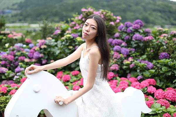 木馬