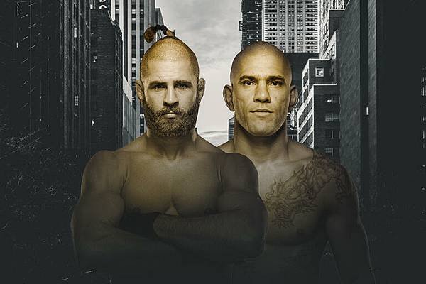 寫在 UFC 295 - Procházka vs. Per