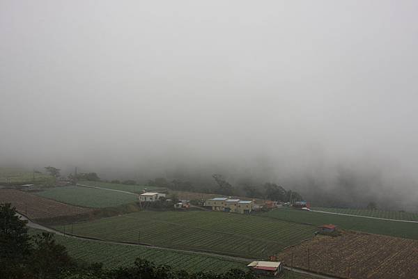 IMG_4107