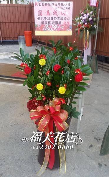 創見
