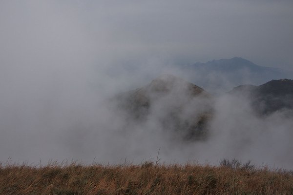 110213_12035985.jpg