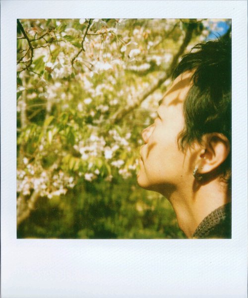 F01.jpg