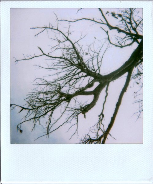 F33.jpg