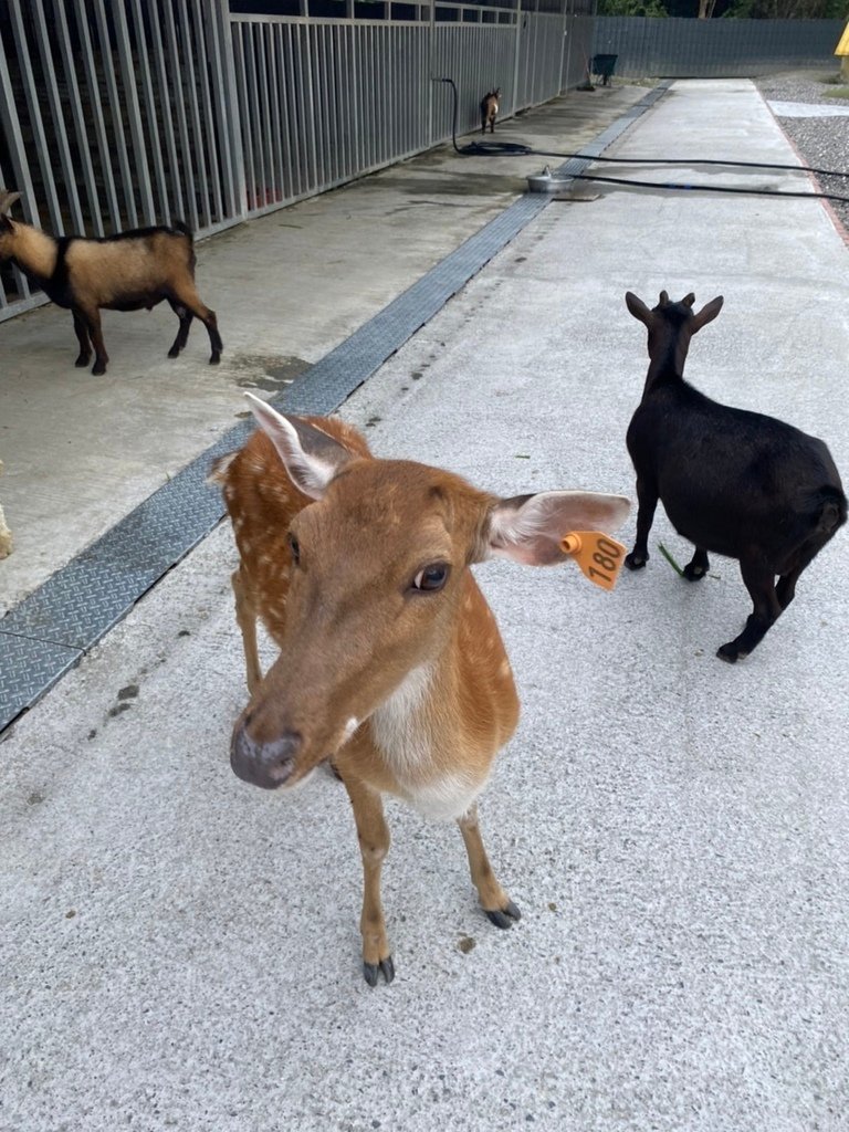S__28975149.jpg