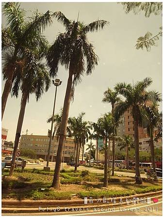 R0028976.jpg