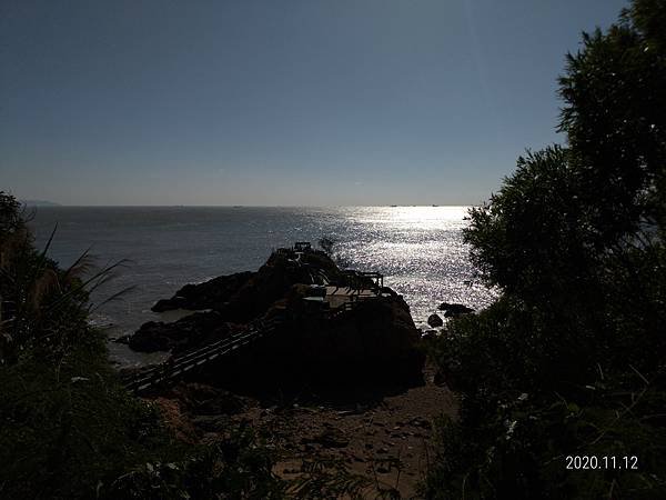 P_20201112_140056.jpg