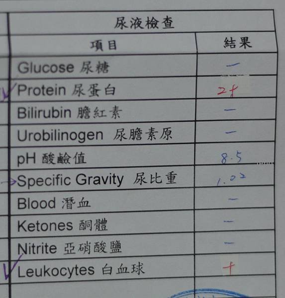 9歲-剛果大健檢 (5).jpg