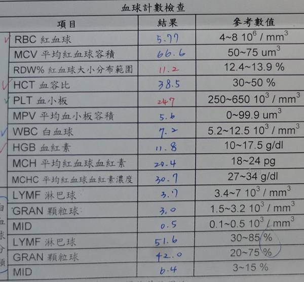 9歲-剛果大健檢 (4).jpg