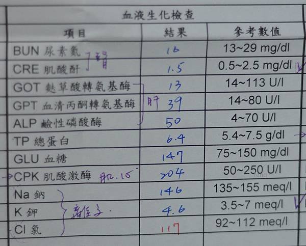 9歲-剛果大健檢 (3).jpg