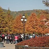 韓國 285.jpg