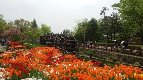 1536156877-1213771030.jpg