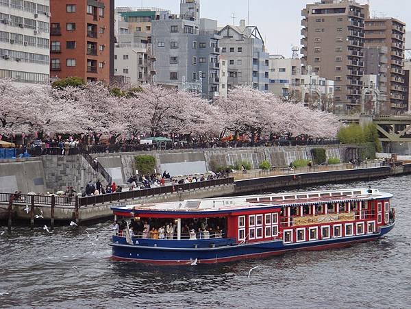 2008-03-30 東京473.jpg