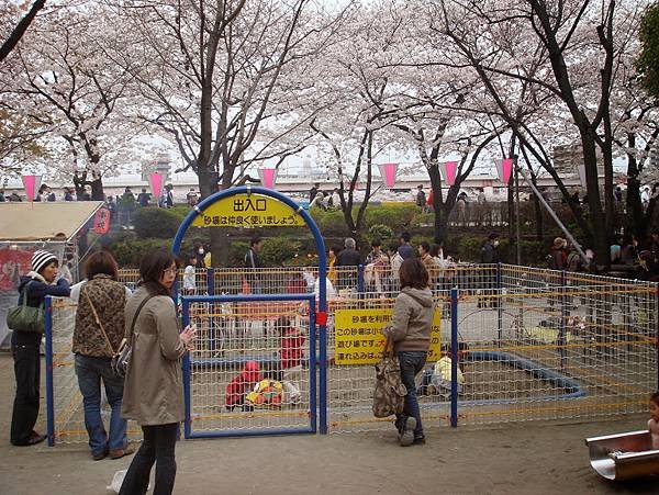 2008-03-30 東京503.jpg